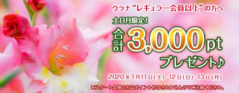 1月1,000PTキャンペーン?